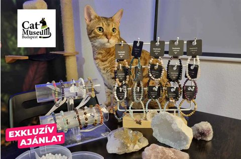 Asványkarkötő-készítő workshop cicákkal