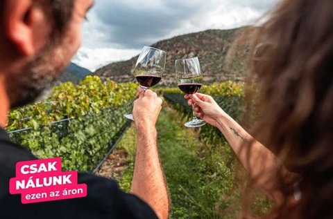 4 tételes somlói borkóstoló 2 fő részére