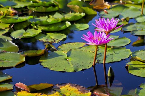 Zavartalan lazítás Hévízen