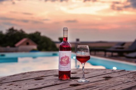 Gondtalan páros nyaralás Böhönyén