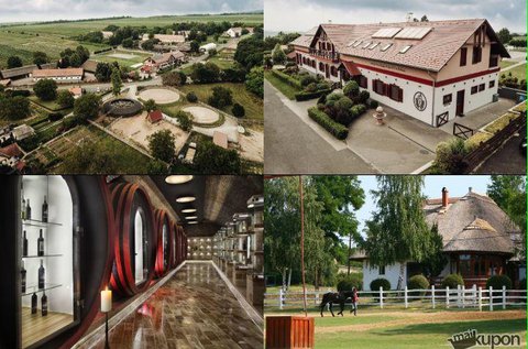 5 tételes borkóstoló a Rádpuszta Élménybirtokon